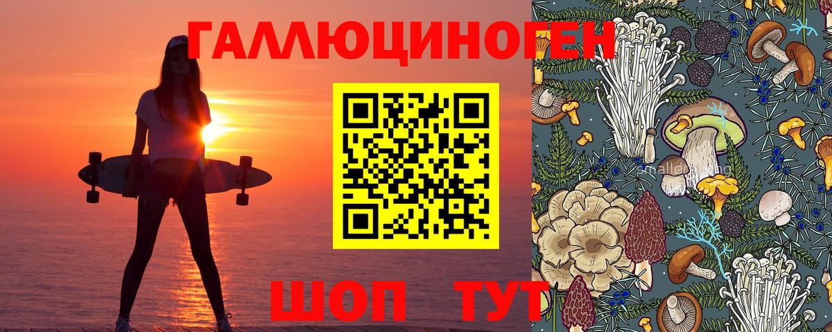 Псилоцибиновые грибы мицелий  Вход с VPN  где найти наркотики  Новомосковск  Галлюциногенные грибы Psilocybine cubensis 