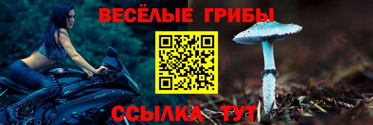 Галлюциногенные грибы Magic Shrooms Новомосковск